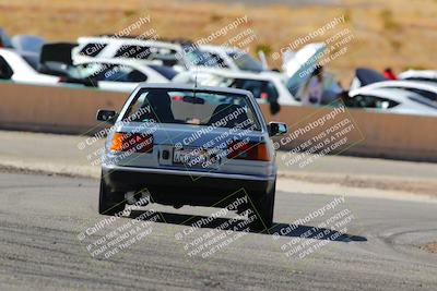 media/Feb-22-2025-Team Topak Racing (Sat) [[cb57a51a40]]/86 Party Brigade/Turns 13 and 14/